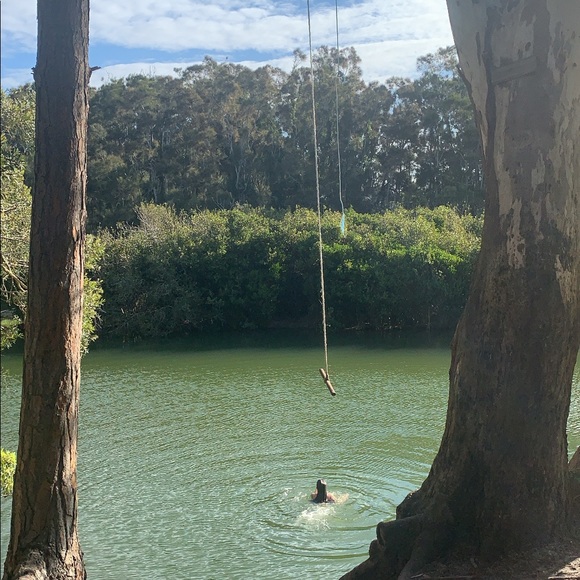 Meet your Posher, Bo - Picture 1 of 1